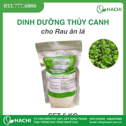Dinh dưỡng thuỷ canh dạng Bột cho RAU ĂN LÁ 5KG