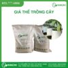 Giá thể xơ dừa trồng cà chua, dưa leo, ớt chuông