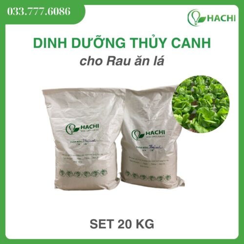 Dinh dưỡng thuỷ canh dạng Bột cho RAU ĂN LÁ 20KG