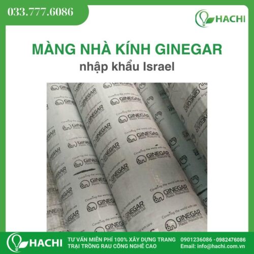 Màng nhà kính Ginegar xuất xứ Israel chính hãng
