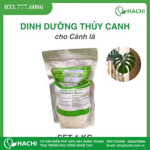 Dinh dưỡng thuỷ canh dạng Bột cho CẢNH LÁ set 1KG