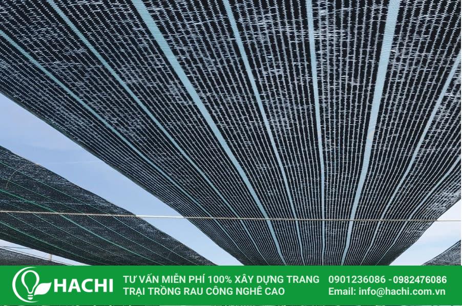 Lưới cắt nắng nhà màng nông nghiệp màu đen, xanh 14 Lưới che nắng trong nông nghiệp