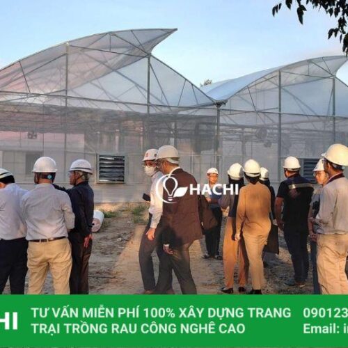 ban giao nha mang