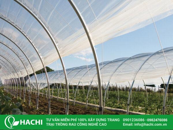 Màng nhà kính Ginegar xuất xứ Israel chính hãng 5 bang gia mang nha kinh Profilm