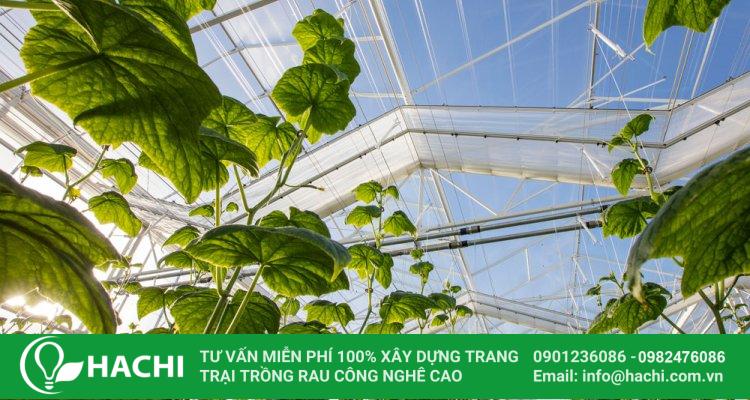 Màng nhà kính Politiv giá rẻ xuất xứ Israel 3 dac tinh ki thuat cua mang nha kinh politiv