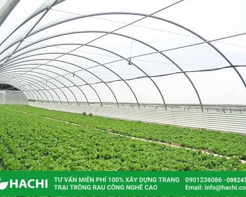 dac tinh ky thuat cua mang Profilm