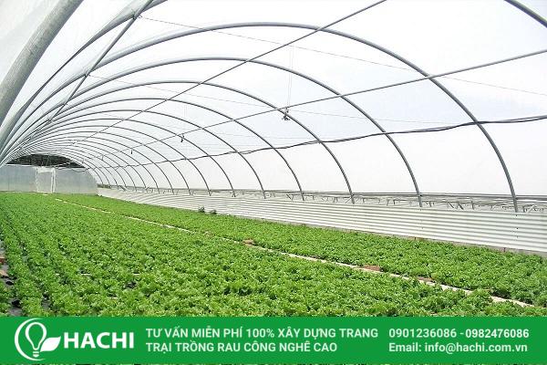 Màng nhà kính Ginegar xuất xứ Israel chính hãng 4 dac tinh ky thuat cua mang Profilm