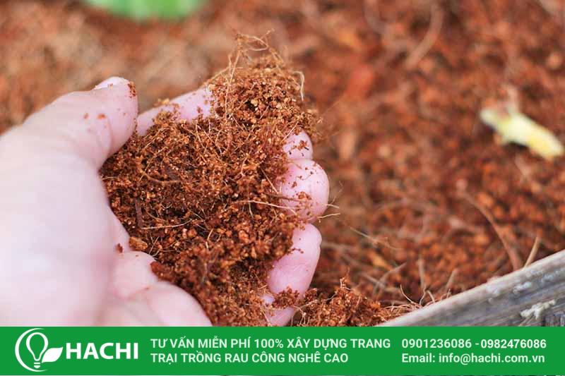 Giá thể ươm cây, hạt giống Eco N1 đã qua xử lý 13 Mua giá thể Eco N1 ở đâu cho chất lượng, giá tốt?