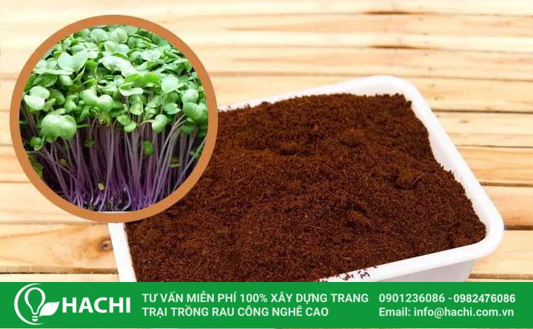 Giá thể ươm cây, hạt giống Eco N1 đã qua xử lý 10 Đặc tính của giá thể Eco N1