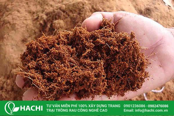 Giá thể xơ dừa trồng cà chua, dưa leo, ớt chuông 8 Xơ dừa là một loại giá thể được sử dụng phổ biến trong nông nghiệp