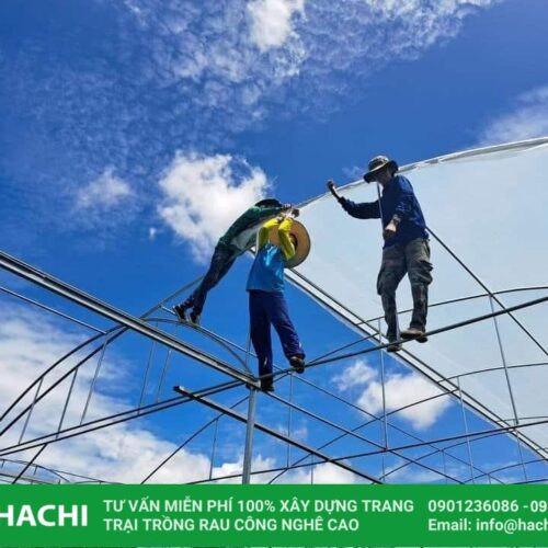 hachi cung cap mang nha kinh Profilm gia re 1