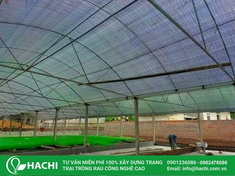 Lưới cắt nắng nhà màng nông nghiệp màu đen, xanh 17 Lưu ý khi mua lưới che nắng