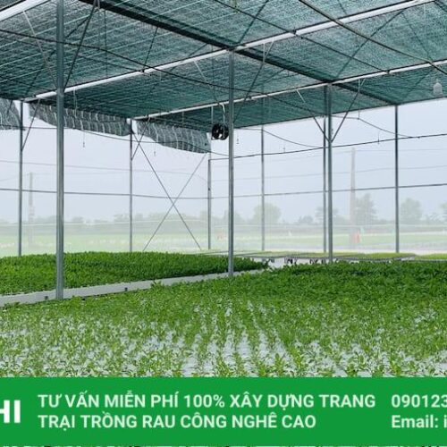 Lưới cắt nắng nhà màng nông nghiệp màu đen, xanh 8 mua motor cuon luoi cat nang tai hachi