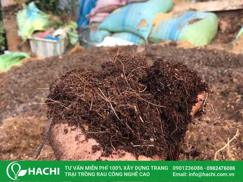 Giá thể xơ dừa trồng cà chua, dưa leo, ớt chuông 10 Tác dụng của giá thể làm từ xơ dừa