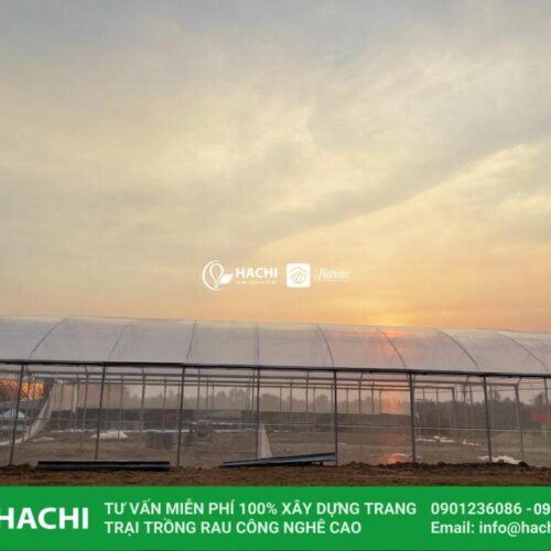 Màng nhà kính Ginegar xuất xứ Israel chính hãng 7 tac dung cua mang nha kinh politiv 1