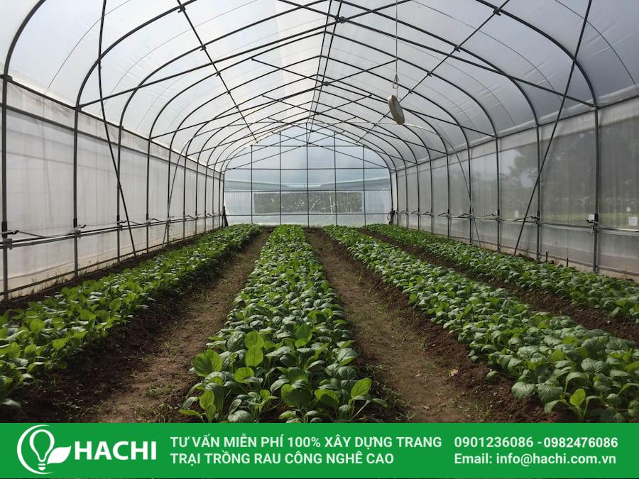 Tổng hợp các loại màng nhà kính được ưa chuộng nhất hiện tại 21 Màng nhà kính Profilm nhập khẩu từ Trung Quốc