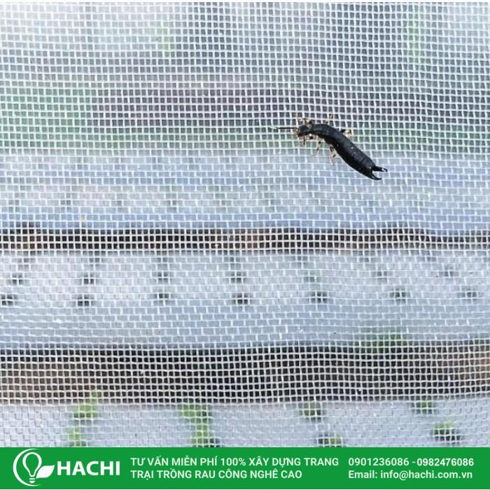 Lưới chống côn trùng tiếng Trung là gì? Danh sách các từ các từ liên quan và đồng nghĩa 2 Lưới chống côn trùng tiếng Trung là gì?