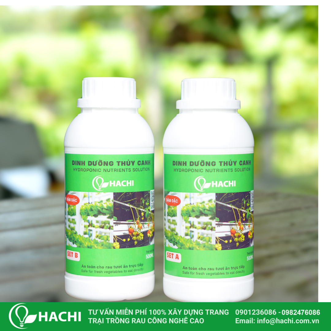 dinh dưỡng thủy canh dạng lỏng
