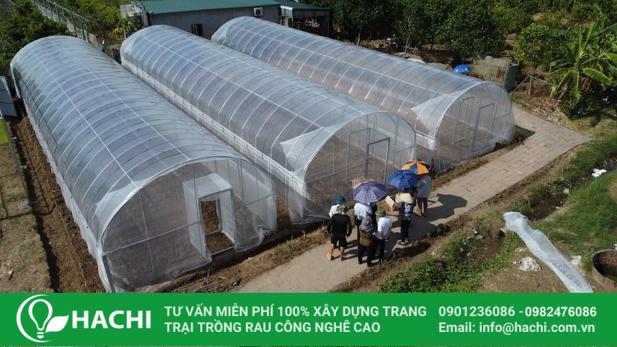 Màng nhà kính Israel giá rẻ 2 nha mang va nha luoi hachi