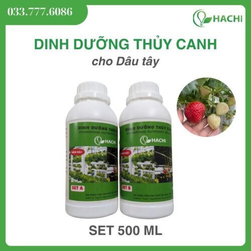 Dinh dưỡng thuỷ canh dạng LỎNG cho DÂU TÂY 500ML