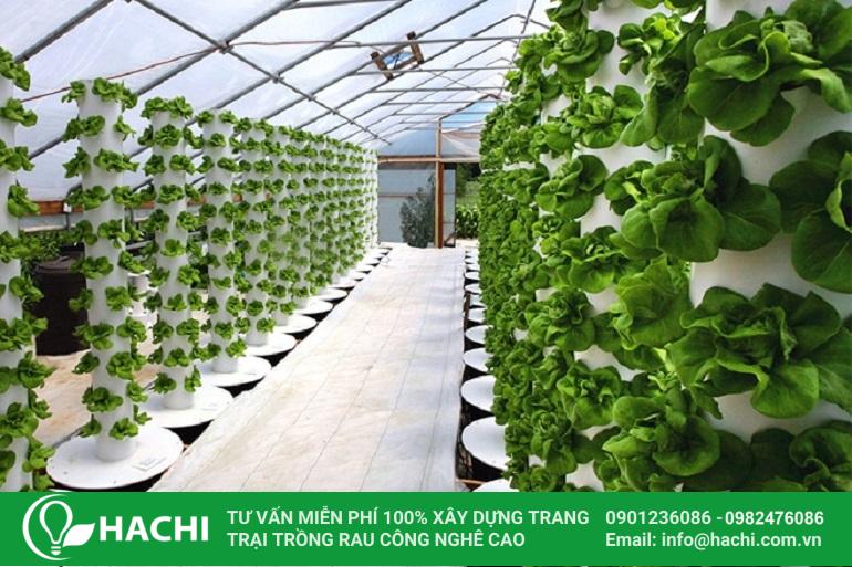 Chuẩn bị không gian, ánh sáng, nguồn nước, điện khi trồng rau thủy canh