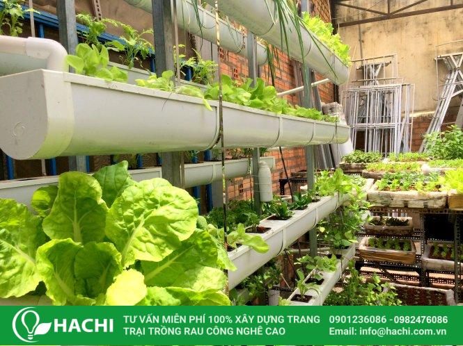Hachi sử dụng các loại vật tư thủy canh chất lượng, đảm bảo độ bền và tiết kiệm chi phí