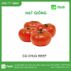 Hạt giống cà chua beef dày thịt