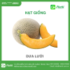 Hạt giống dưa lưới