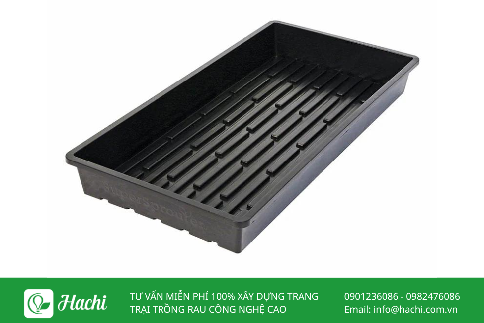 Khay ươm hạt giống 3 KHAY UOM HAT GIONG 2