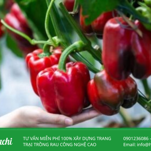 OT CHUONG 3