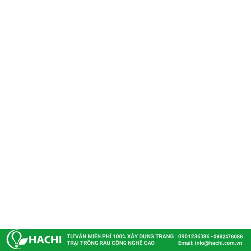 Hachi icon