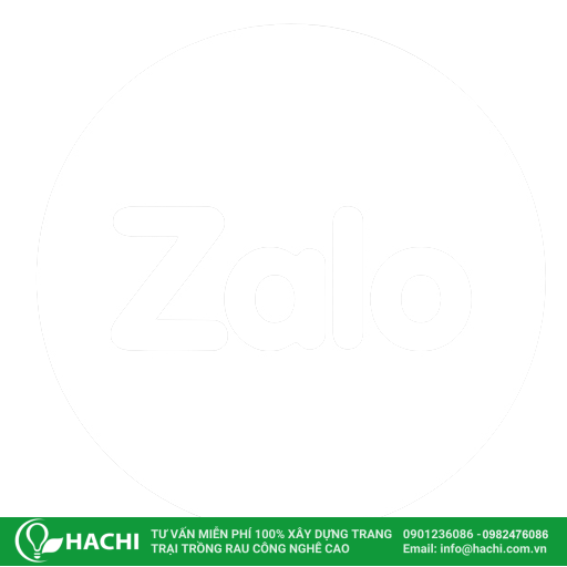 Hachi icon