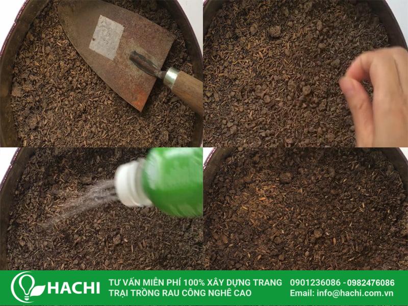 Hạt giống xà lách Salanova xanh bọc men Hà Lan giá rẻ 10 Giữ đủ ẩm và độ tơi xốp cho đất