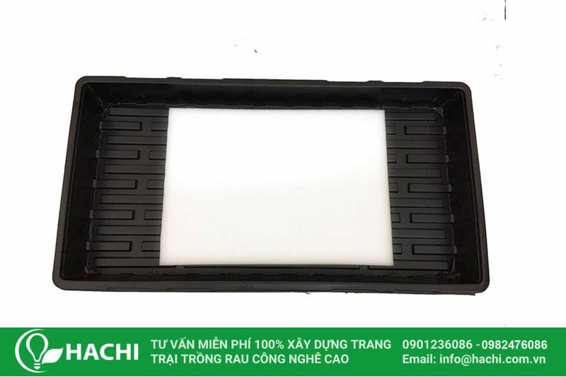 Khay ươm hạt giống 7 Khay ươm giúp tăng tỷ lệ nảy mầm