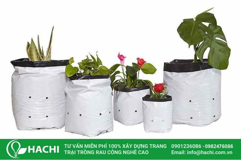 Túi bầu trồng cây 5 Bạn nên chọn túi làm từ nhựa PP để đảm bảo độ bền