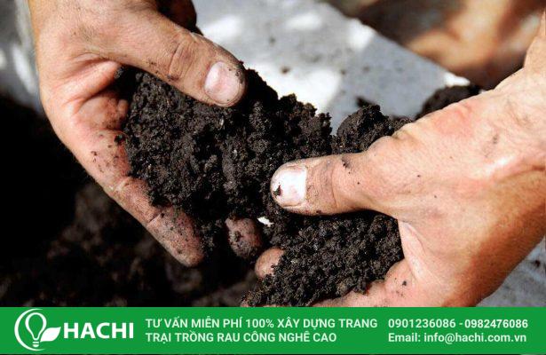 5 Cách trồng rau tần ô (cải cúc) tại nhà tươi ngon, ăn quanh năm 9 Đất trồng rau tần ô cần đảm bảo độ tơi xốp, giàu dinh dưỡng