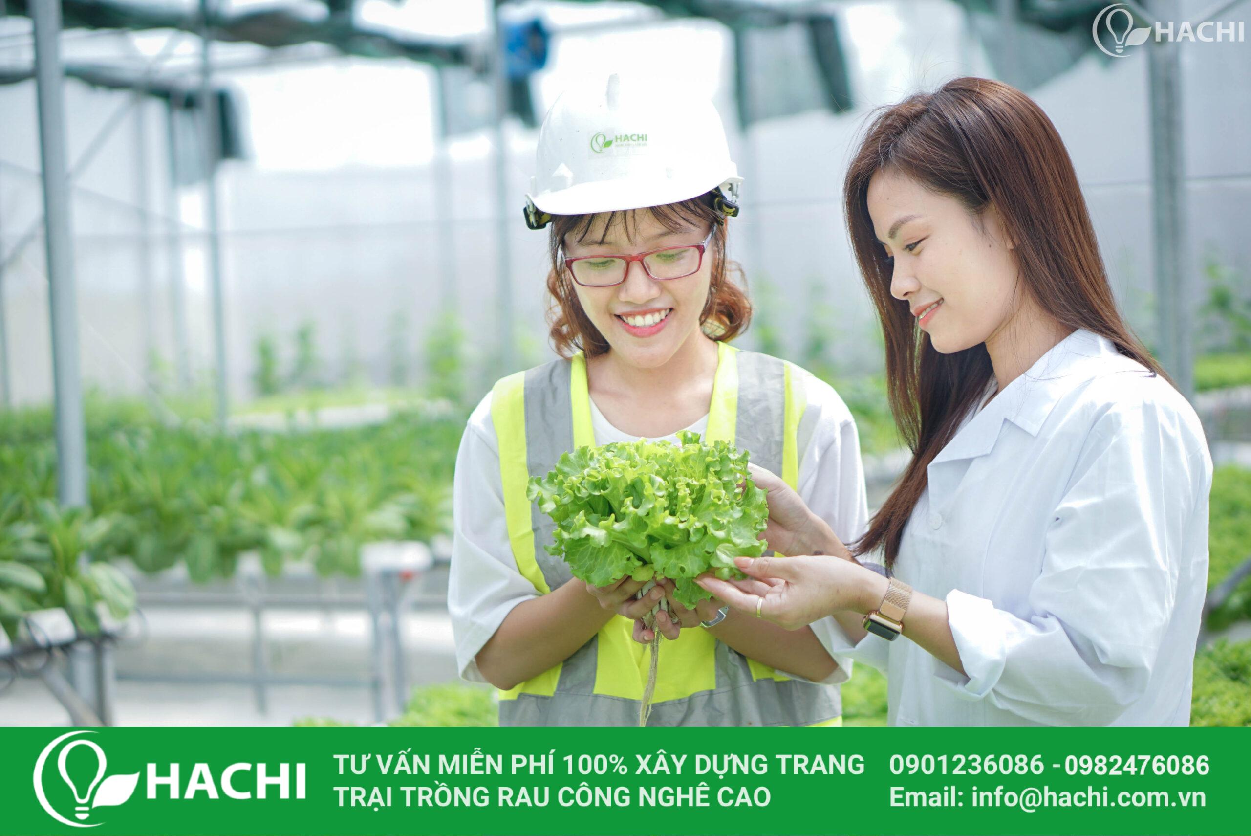 Nông nghiệp tái sinh là gì? Giải pháp "vàng" giúp bảo vệ môi trường và phát triển kinh tế bền vững 14 Hachi Nông Nghiệp Thông Minh - Tự hào là đơn vị tiên phong nghiên cứu và phát triển mô hình nông nghiệp tái sinh tại Việt Nam