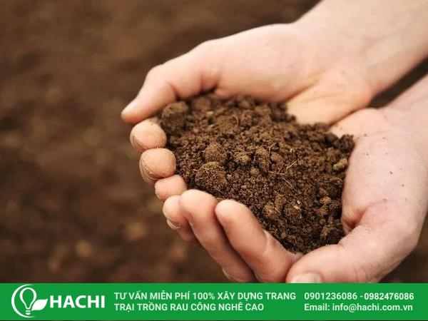 Chuẩn bị đất tơi xốp, giàu dinh dưỡng để trồng rau cải xanh