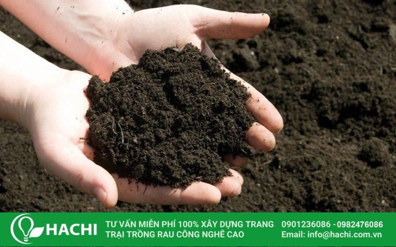 Dùng các loại phân bón hữu cơ để tăng thêm độ dinh dưỡng cho đất