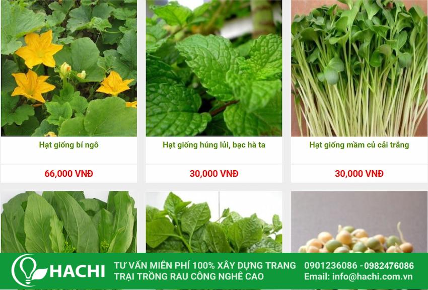 CỬA HÀNG HẠT GIỐNG RAU TẠI HÀ NỘI CUNG CẤP SẢN PHẨM AN TOÀN