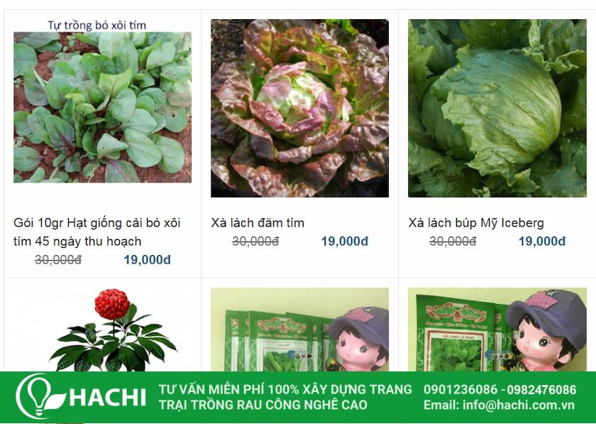 Giá hạt giống rau tại Cửa Hàng Hạt Giống chỉ khoảng 12.000 - 19.000đ