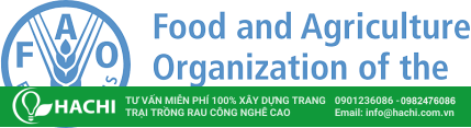 fao logo