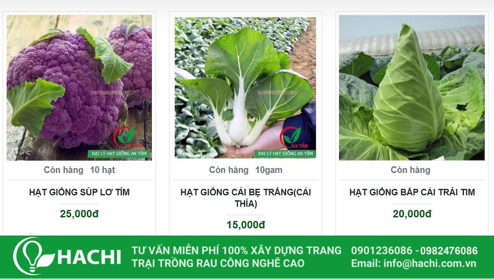Hạt Giống An Tâm cung cấp nhiều loại hạt giống rau như súp lơ, cải bẹ trắng, bắp cải