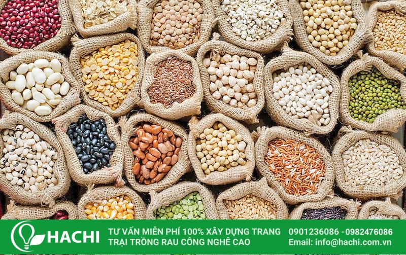 Hiểu đúng về 6 nhóm hạt giống trong nông nghiệp 11 Hạt giống hữu cơ thường có giá thành cao hơn so với hạt giống thông thường