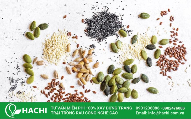 Hiểu đúng về 6 nhóm hạt giống trong nông nghiệp 8 Hạt giống OP (Open-Pollinated) là hạt giống được thụ phấn tự nhiên nhờ gió, côn trùng hoặc con người