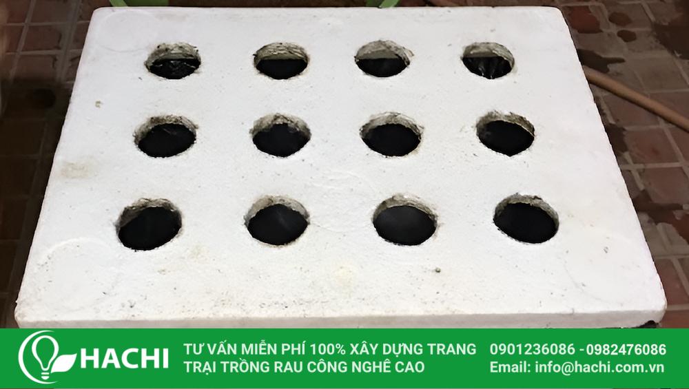 Đục lỗ trên nắp thùng xốp để đựng rọ nhựa chứa cây mồng tơi thủy canh