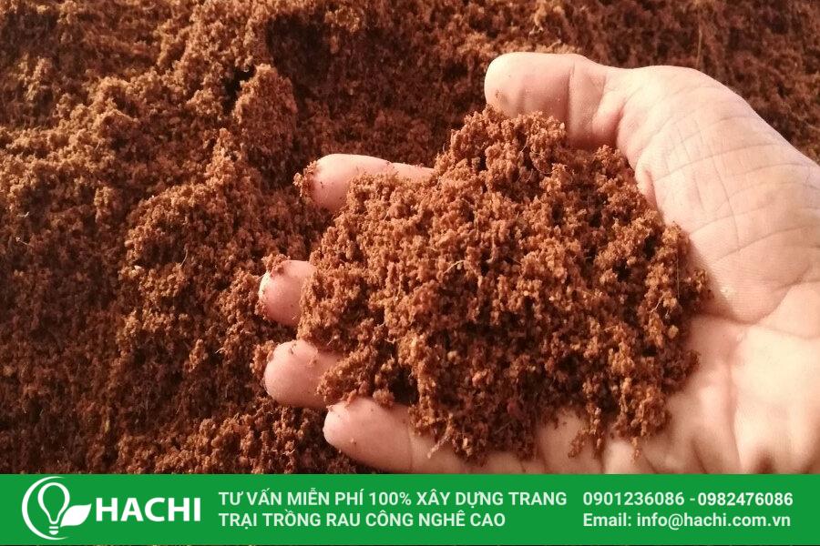 Chuẩn bị giá thể xơ dừa ươm hạt mồng tơi