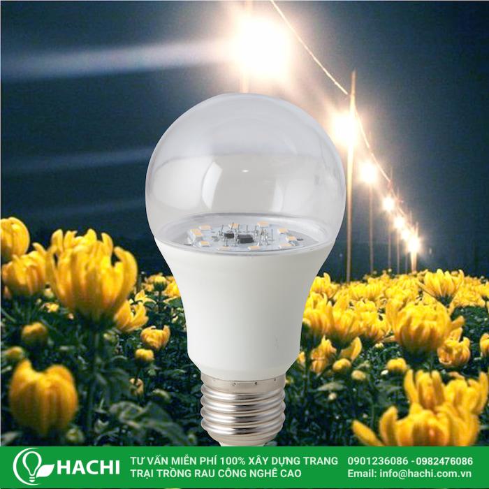 Đèn LED trồng hoa