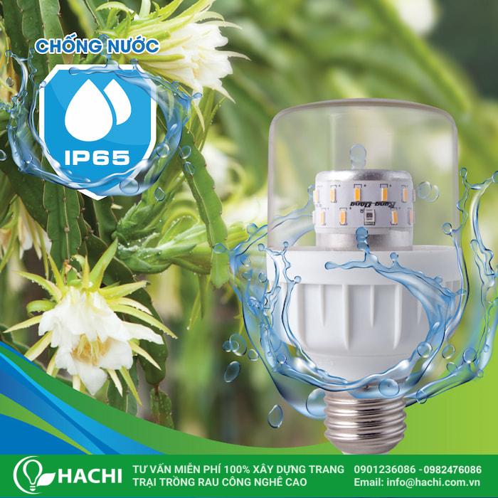 Đèn LED có tuổi thọ trung bình từ 30.000 đến 50.000 giờ sử dụng, ít phải thay thế