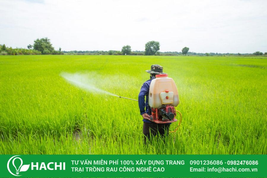 dung bien phap hoa hoc phong tru sau benh